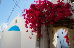 Historical Walking Tour Experience of Ios Island